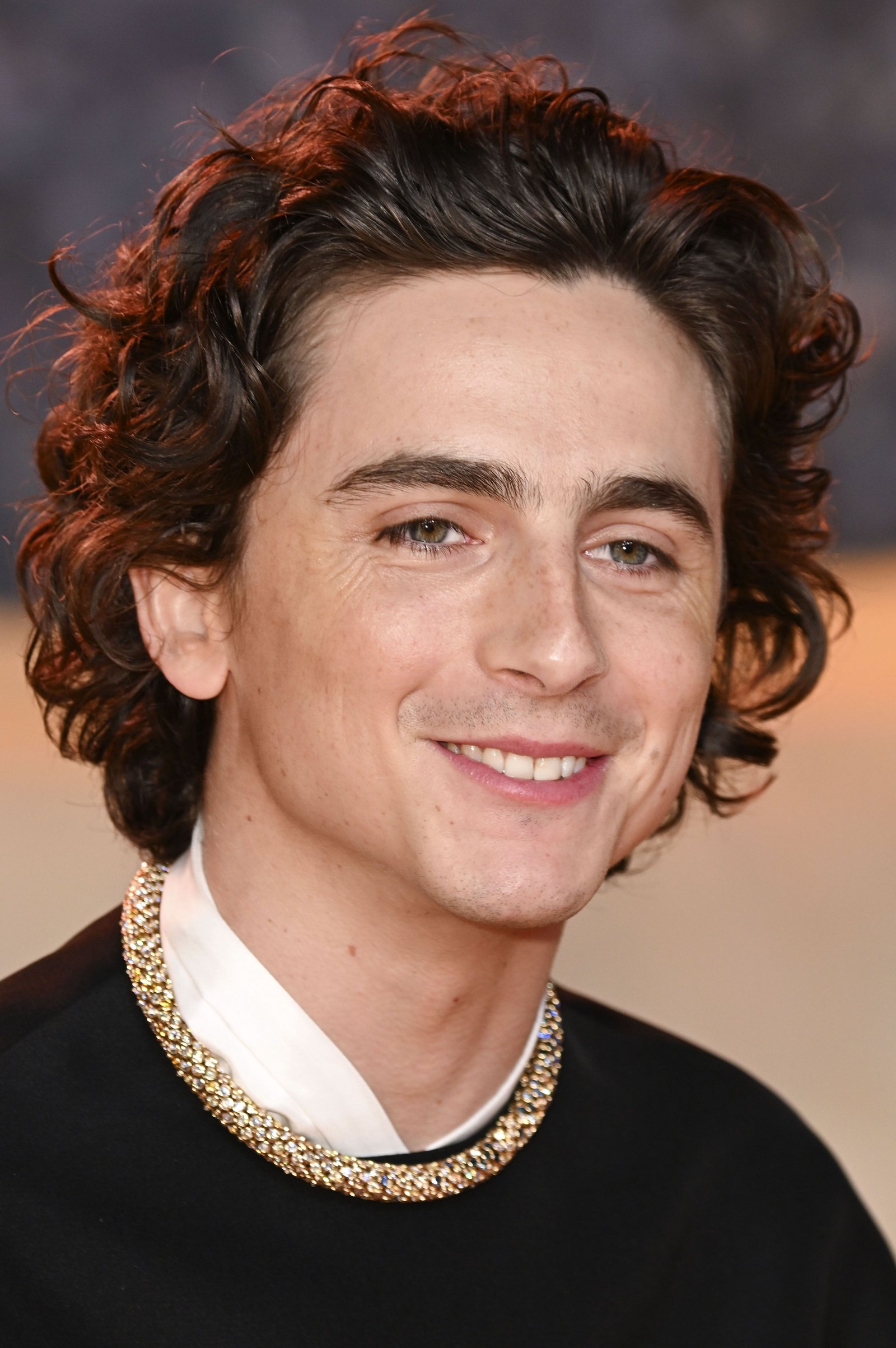 Timothée Chalamet Fotoğrafı - 5