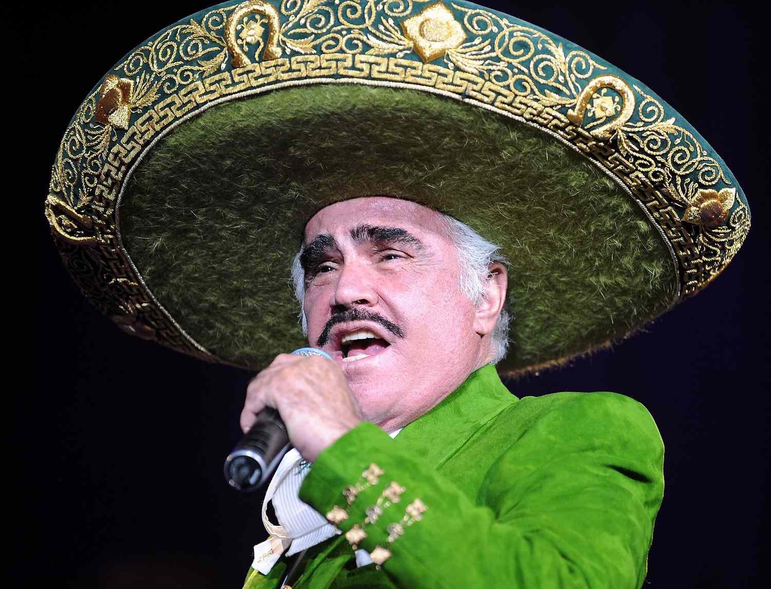 Vicente Fernández Profil Resmi