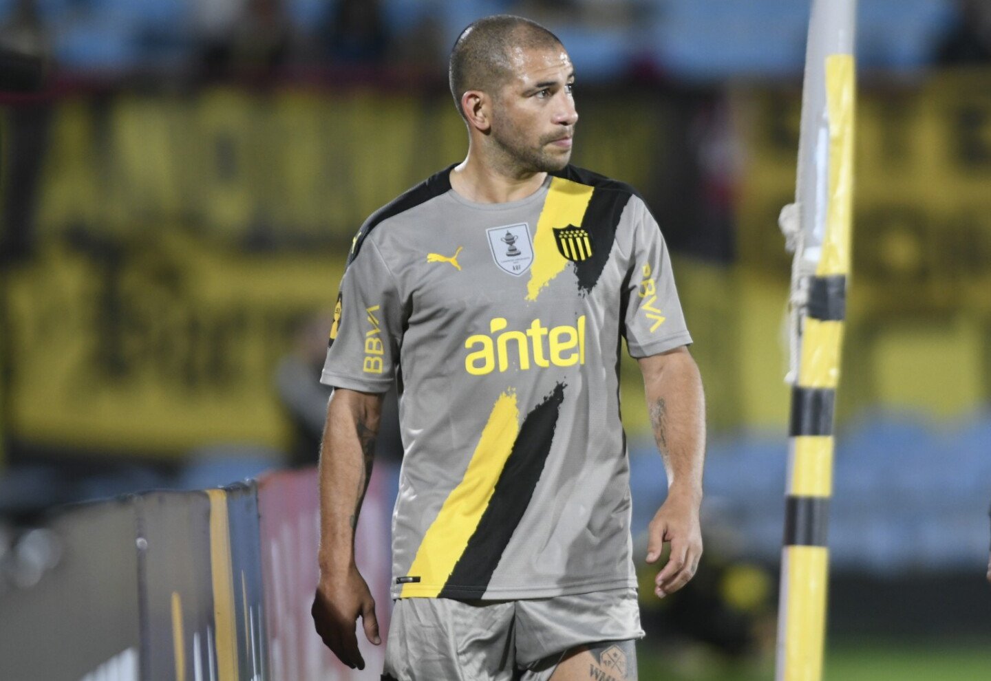 Walter Gargano Fotoğrafı - 5