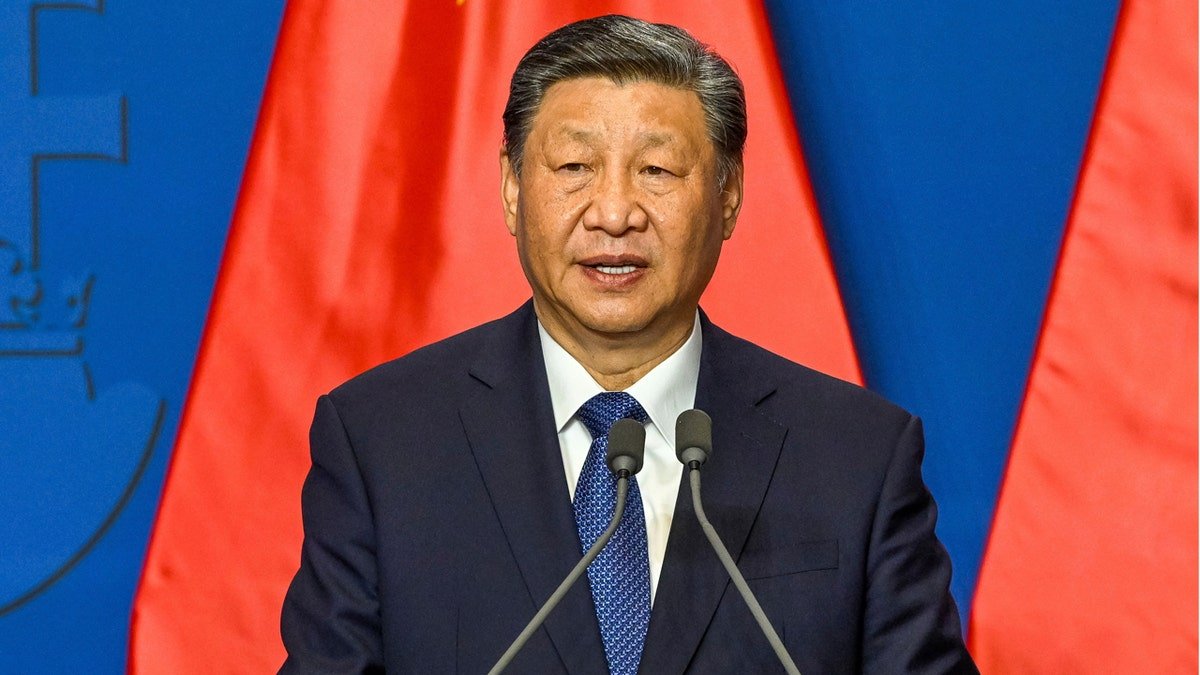 Xi Jinping Profil Resmi