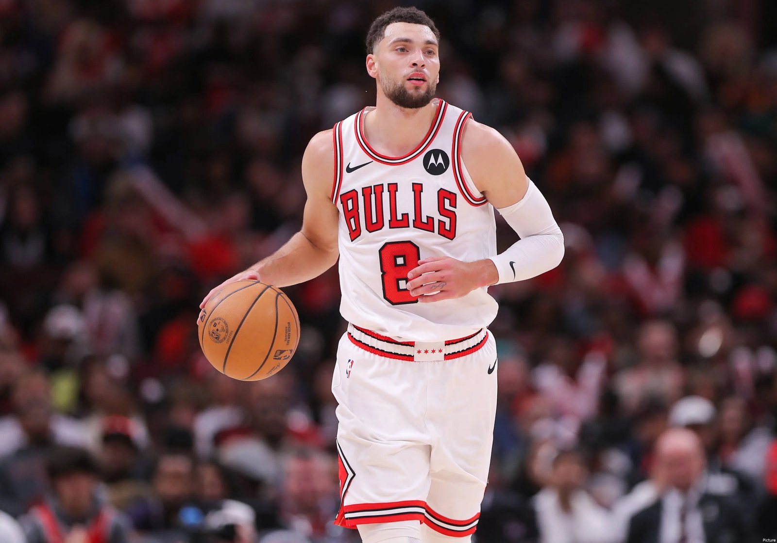 Zach LaVine Fotoğrafı - 5
