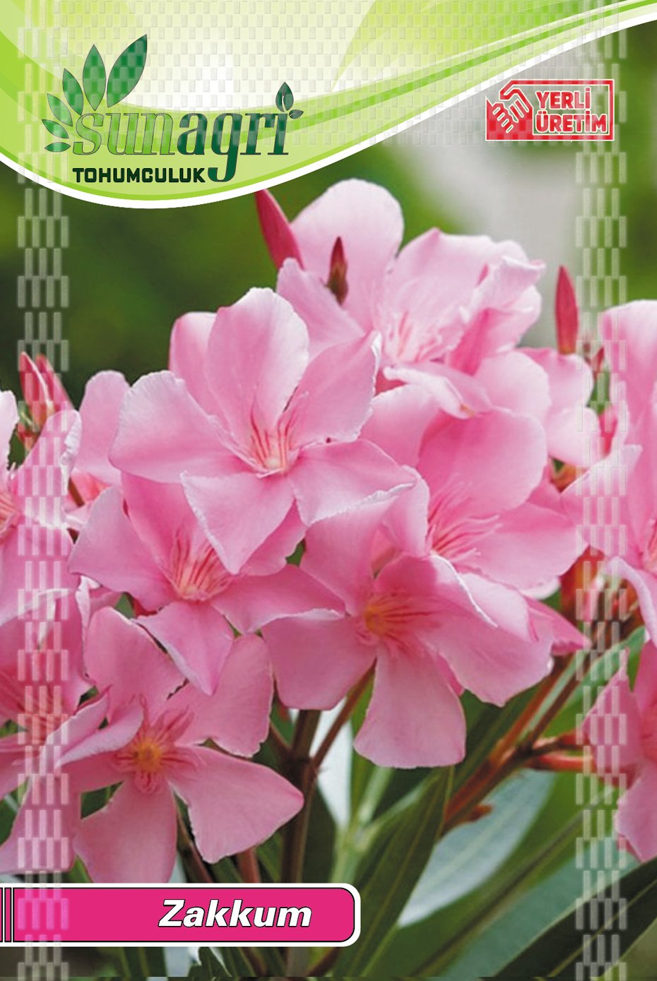 Zakkum Fotoğrafı - 2
