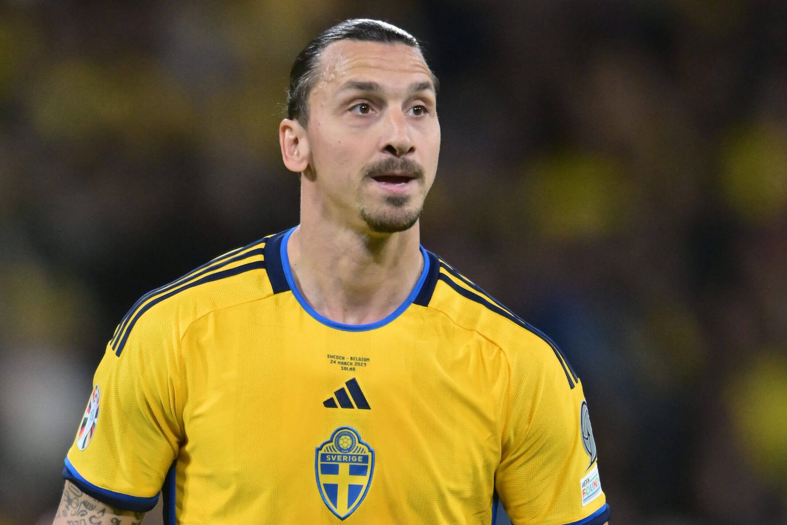 Zlatan Ibrahimović Fotoğrafı - 5