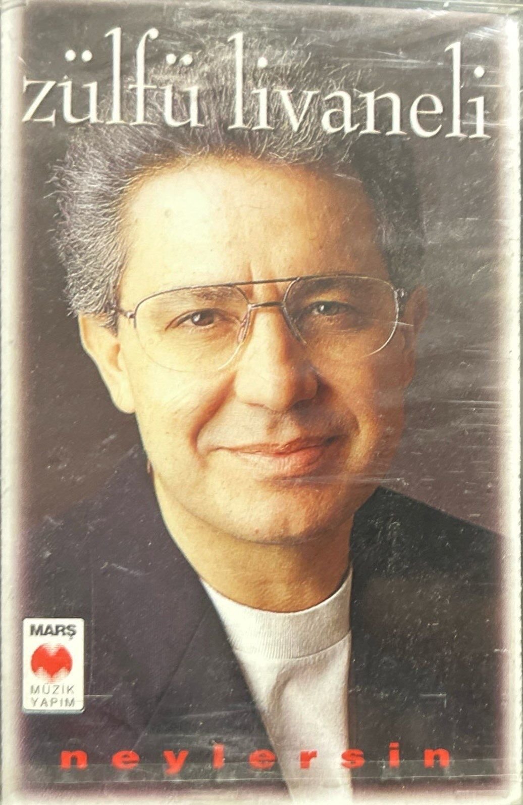 Zülfü Livaneli Fotoğrafı - 4