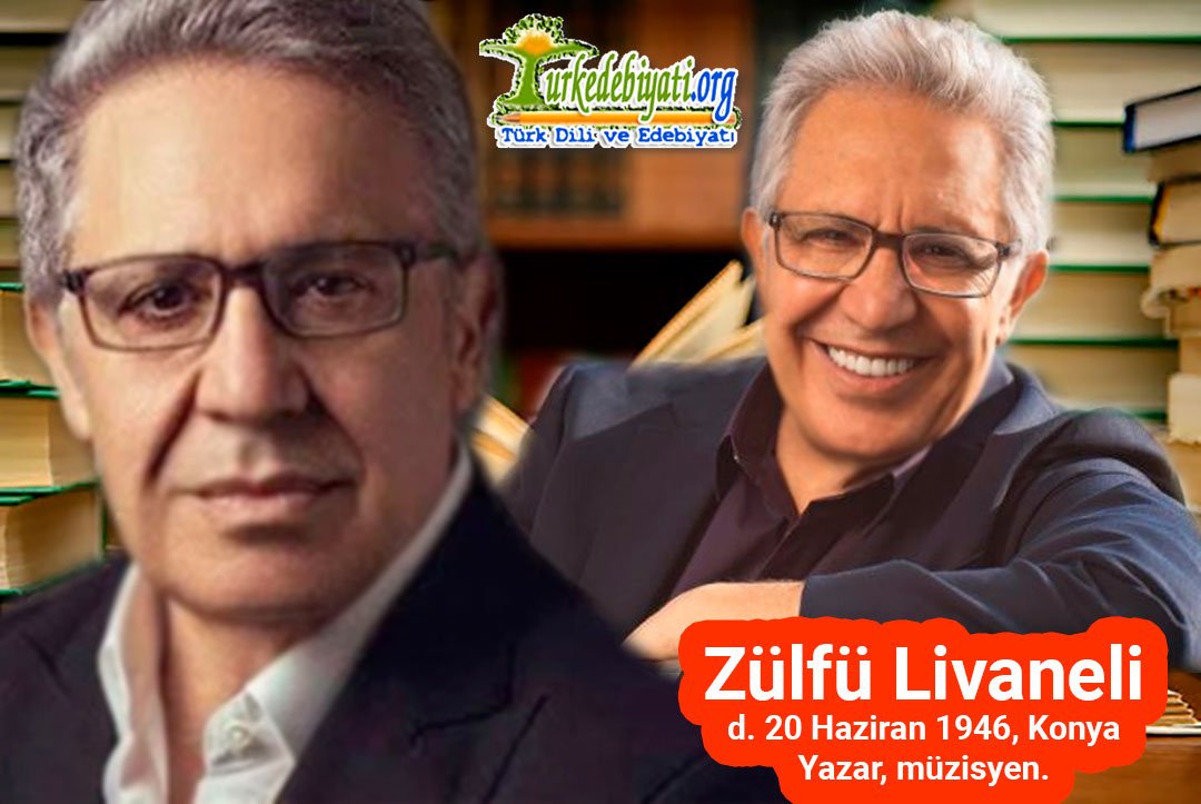 Zülfü Livaneli Profil Resmi